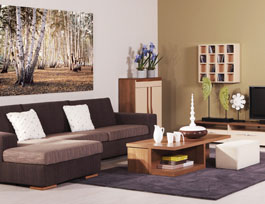 全屋定制家具專賣店為什么會被迫關店？